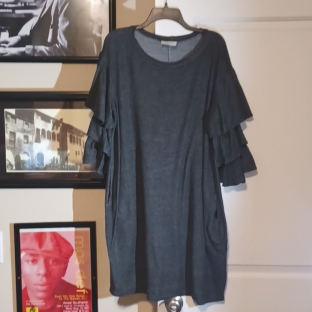 Janette Plus Bell Sleeved Dress